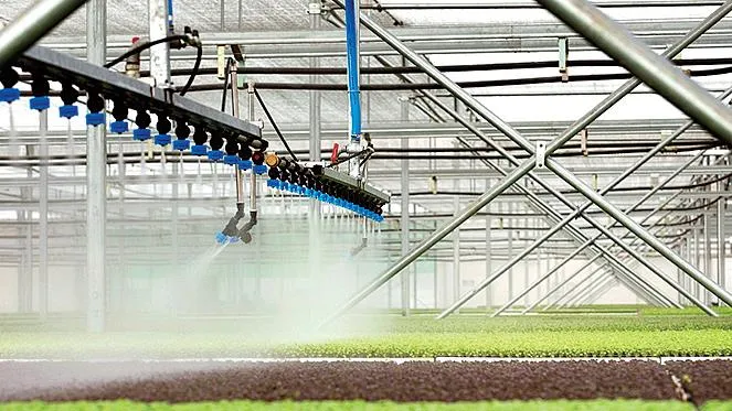 Làm nông an nhàn ảnh 7 Làm nông an nhàn ảnh 7