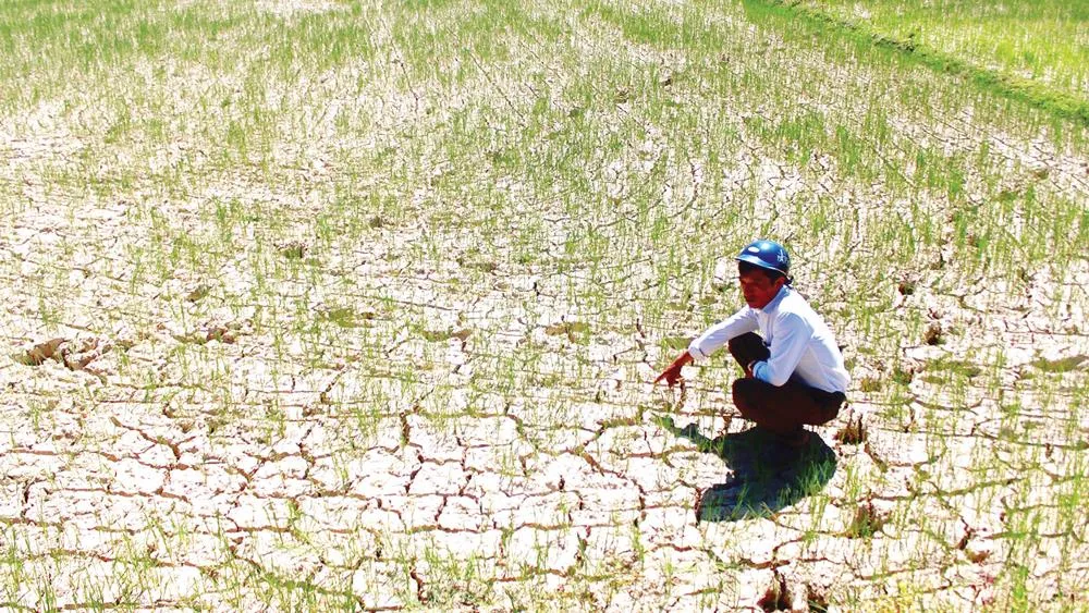 Qua vùng “chảo lửa” - Bài 1: Đồng khô cỏ cháy ảnh 1