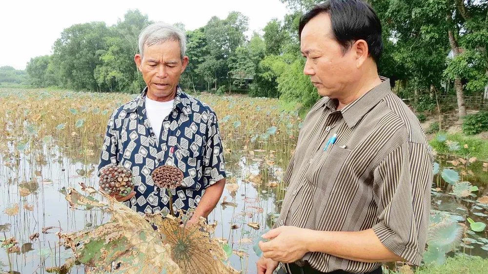 Qua vùng “chảo lửa” - Bài 1: Đồng khô cỏ cháy ảnh 3