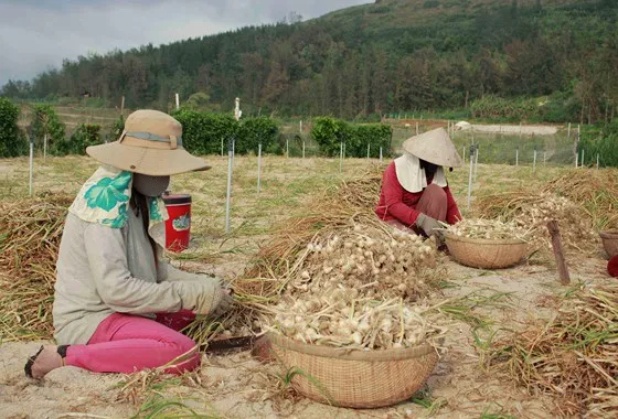 Ngành có thu nhập thấp nhất là ngành nông, lâm nghiệp và thủy sản