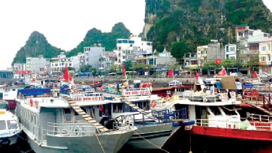 Tàu thuyền ở Quảng Ninh neo đậu tránh bão