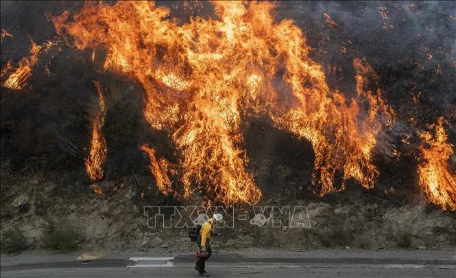  Các đám cháy rừng lan rộng tại Newhall, California, Mỹ, ngày 11-10. Ảnh: AFP/TTXVN