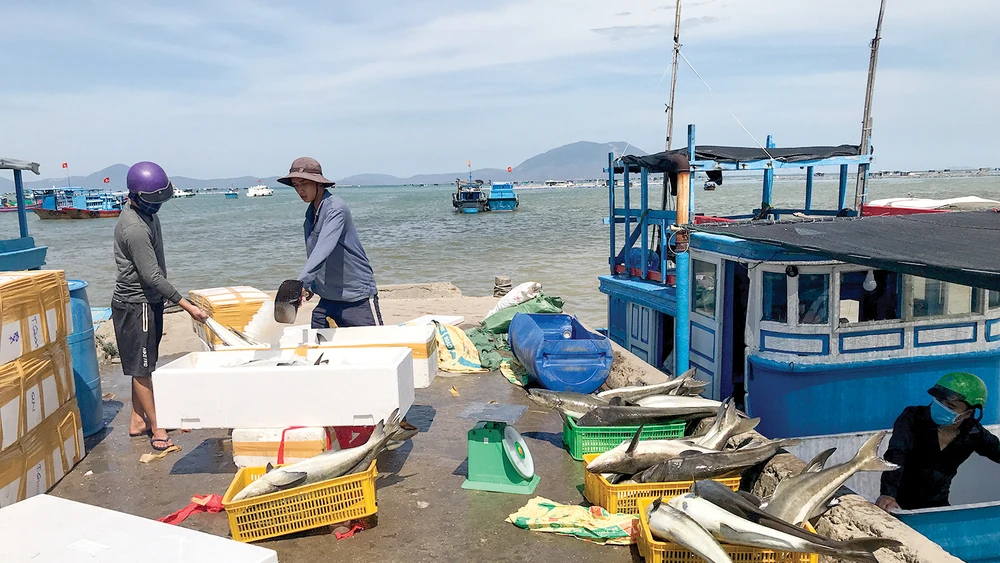 Hiện nay, nhiều tàu cá đánh bắt gần bờ thường không có ghi chép nhật ký, truy xuất nguồn gốc sản phẩm đánh bắt