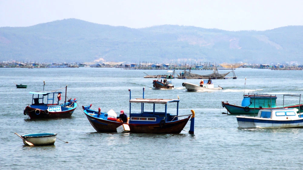 Khó quản lý lồng bè trên Vịnh Xuân Đài