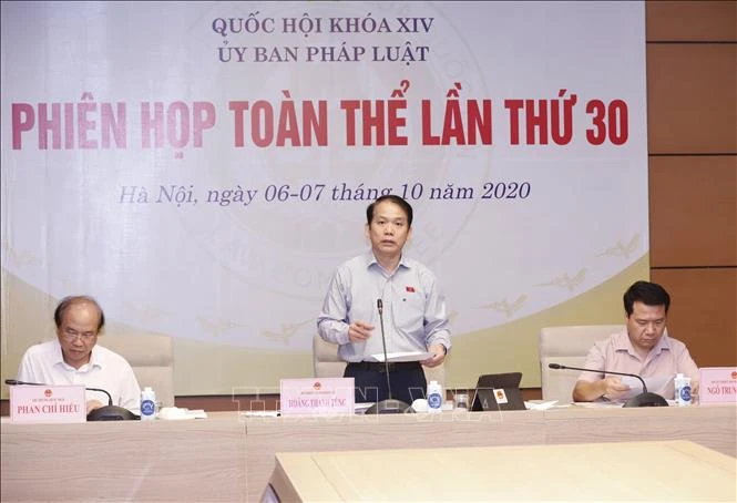 Chủ nhiệm Ủy ban Pháp luật của Quốc hội Hoàng Thanh Tùng phát biểu. Ảnh: TTXVN