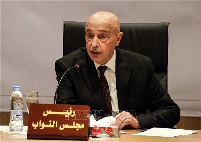 Viễn cảnh xa vời ảnh 1