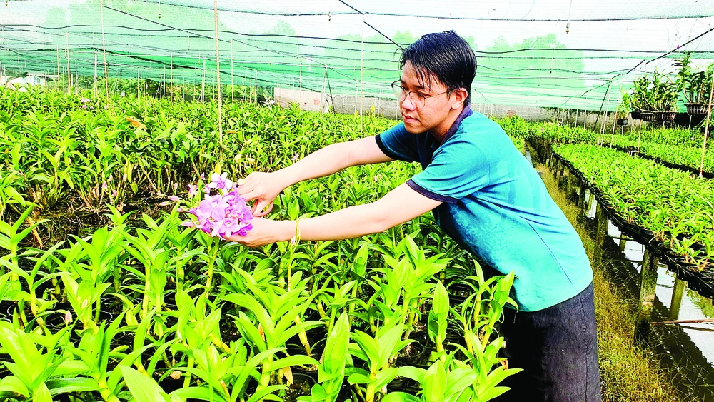 TPHCM: Mỗi hecta đất công nghiệp, thương mại, dịch vụ đô thị tạo ra giá trị trung bình 55 tỷ đồng/năm ảnh 1 TPHCM: Mỗi hecta đất công nghiệp, thương mại, dịch vụ đô thị tạo ra giá trị trung bình 55 tỷ đồng/năm ảnh 1