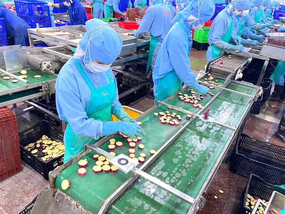 Sắc màu rau, củ ảnh 7