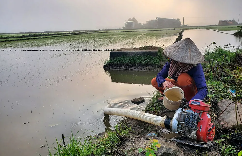 Nông dân xã Phước Thắng (huyện Tuy Phước, Bình Định) dùng máy bơm tiêu thoát nước trên cánh đồng ngập do lũ