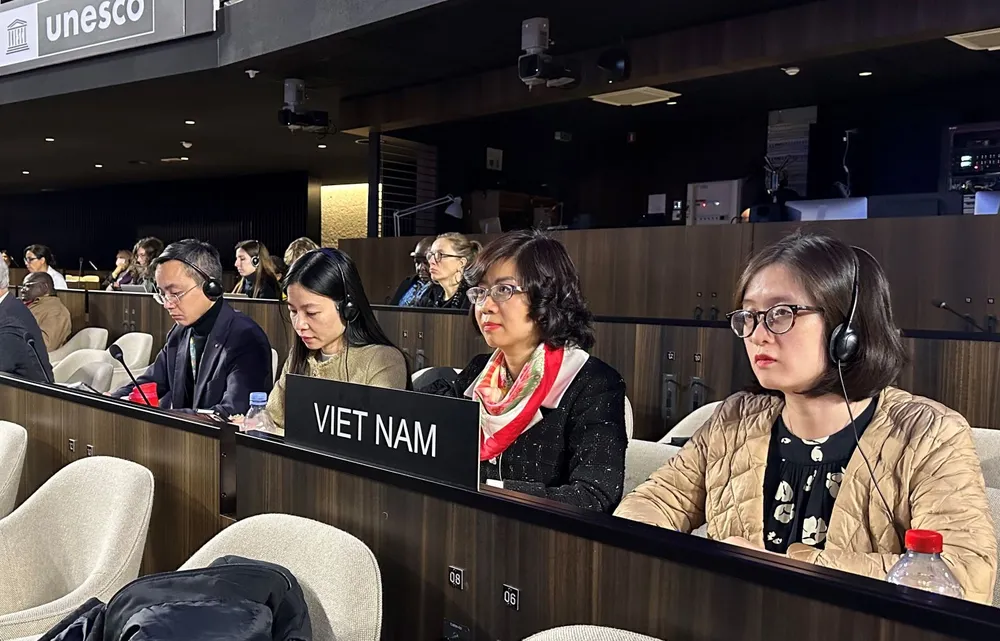Phái đoàn Việt Nam tham dự tại phiên họp thứ 16 UBLCP Công ước 2005. Ảnh: TTXVN Phái đoàn Việt Nam tham dự tại phiên họp thứ 16 UBLCP Công ước 2005. Ảnh: TTXVN