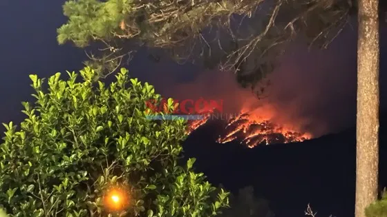 Vụ cháy rừng ngày 7-4 có thể quan sát từ trung tâm TP Đà Lạt, cách hiện trường khoảng 10km. Ảnh: ĐOÀN KIÊN