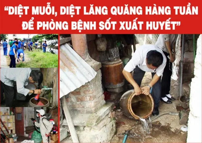 Lập đội xung kích diệt bọ gậy ở tất cả quận huyện