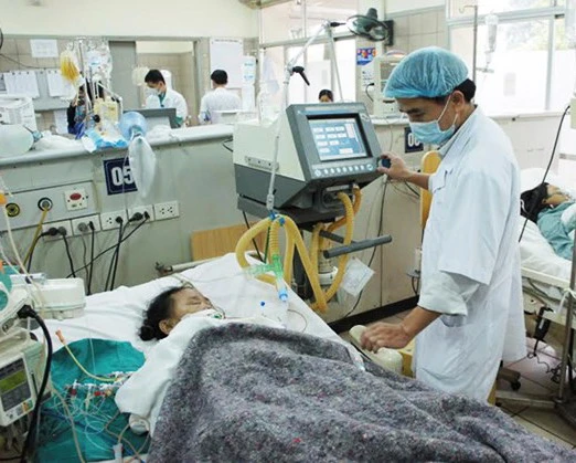 Cả nhà bị ngộ độc nấm: Thêm 1 người tử vong ảnh 1 Cả nhà bị ngộ độc nấm: Thêm 1 người tử vong ảnh 1