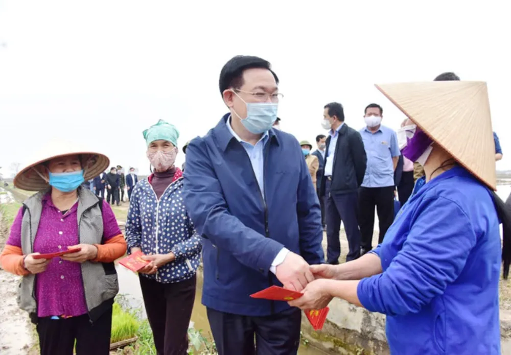 Lãnh đạo TP Hà Nội xuống ruộng đầu xuân cùng bà con nông dân ảnh 2 Lãnh đạo TP Hà Nội xuống ruộng đầu xuân cùng bà con nông dân ảnh 2