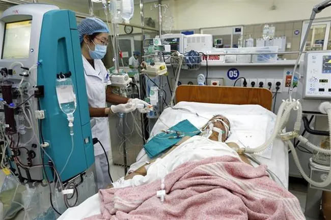 Điều trị bệnh nhân ngộ độc rượu tại Trung tâm Chống độc, Bệnh viện Bạch Mai Điều trị bệnh nhân ngộ độc rượu tại Trung tâm Chống độc, Bệnh viện Bạch Mai