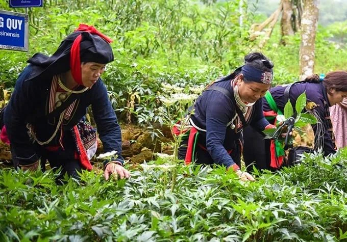 250 đại biểu người dân tộc dự Đại hội đại biểu các dân tộc thiểu số TP Hà Nội lần IV 