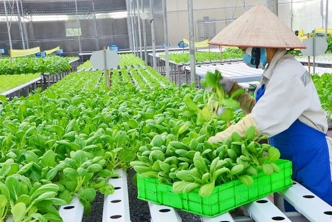 Tập trung chuyển đổi số trong lĩnh vực nông nghiệp 111.jpg