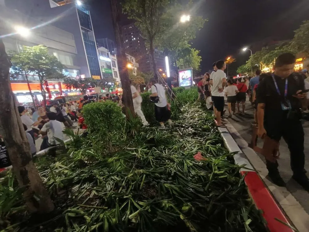 Một khu vực cây xanh và hoa trang trí phục vụ lễ A80 bị một số người đi xem tổng hợp luyện diễu binh, diễu hành dẫm nát 2.jpg