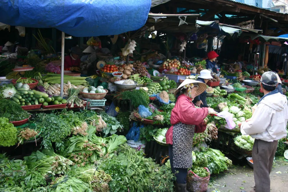 Nhiều loại rau xanh trôi nổi được "phù phép" thành rau sạch 1.jpg