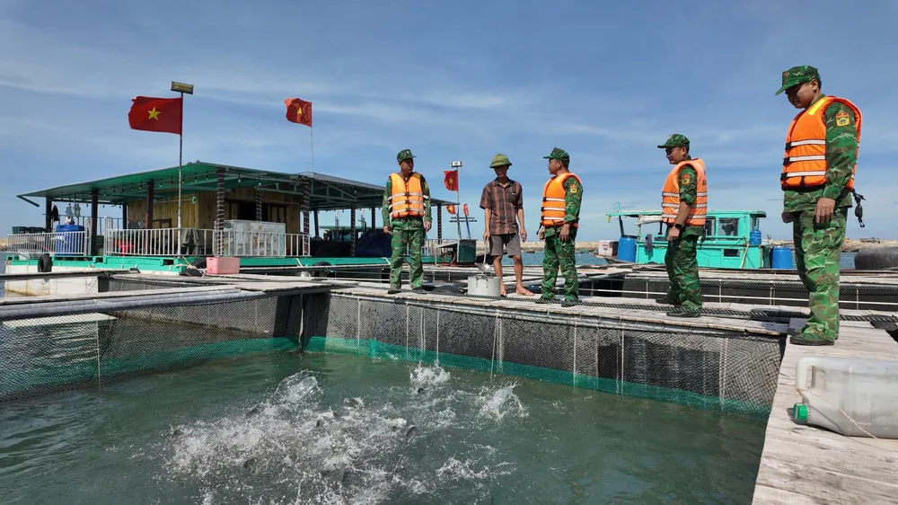 Lực lượng chức năng Đồn Biên phòng Cô Tô giúp đỡ hộ dân nuôi thủy sản triển khai các biện pháp phòng chống bão số 9. Ảnh: THU BÁU z7044388524401_e29e5f853c89a51b6f0bfaba78c7a833.jpg