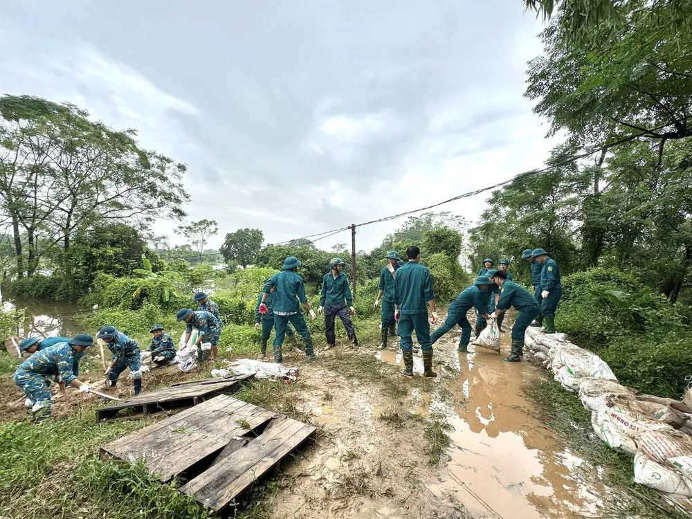Chính quyền xã Thư Lâm (TP Hà Nội) huy động lực lượng tập trung hộ đê, ứng phó lũ lớn trên sông Cà Lồ vào sáng 8-10 557662071_122141079734911801_4111401330471617210_n.jpg