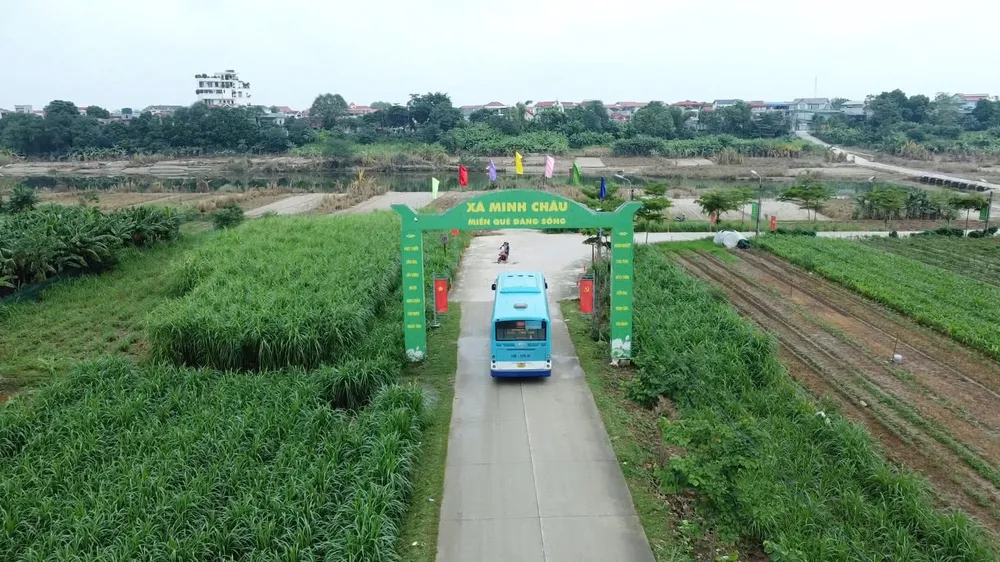 Tuyến xe buýt 20ATC kết nối xã đảo Minh Châu với nội thành Hà Nội FB_IMG_1760432970944.jpg