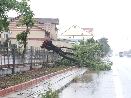 Những thiệt hại ban đầu bão số 4 gây ra tại Quảng Trị, Hà Tĩnh  ảnh 13 Những thiệt hại ban đầu bão số 4 gây ra tại Quảng Trị, Hà Tĩnh  ảnh 13
