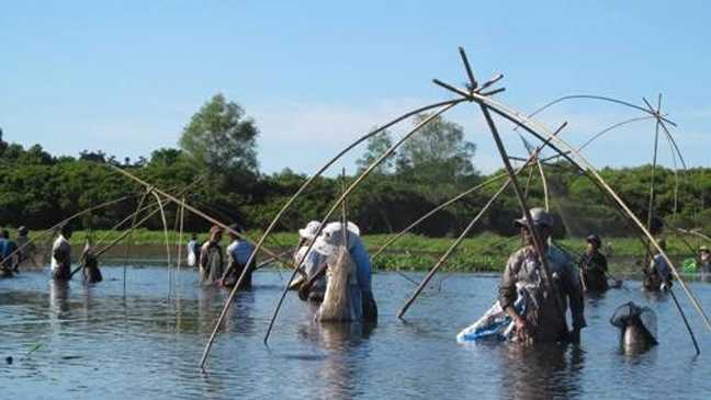 Người dân dùng vó bắt cá