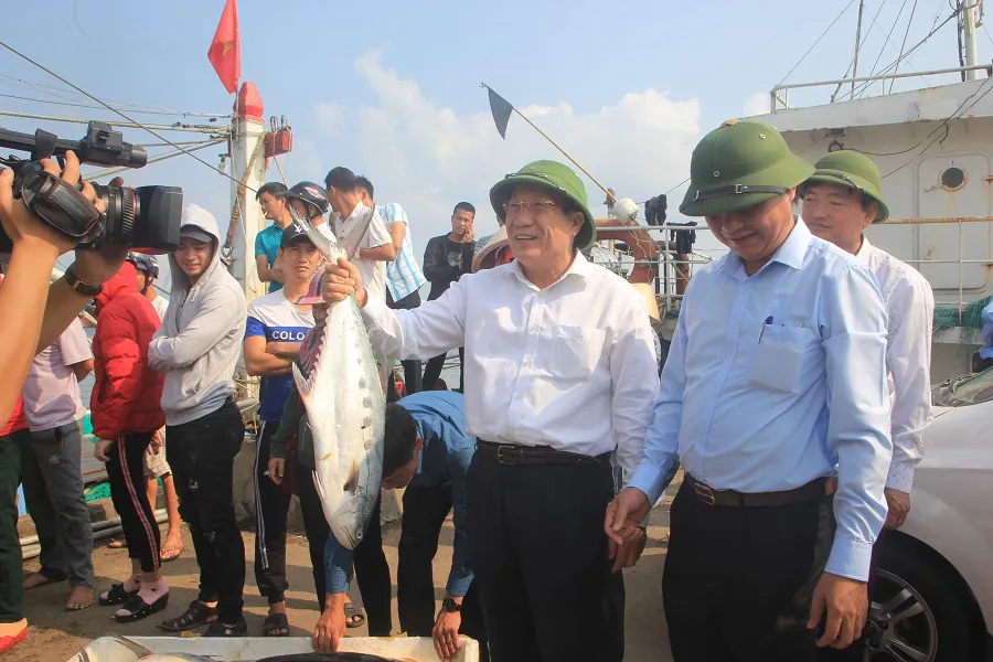 Ngư dân Quảng Trị trúng mẻ cá 7 tỷ đồng ảnh 3 Ngư dân Quảng Trị trúng mẻ cá 7 tỷ đồng ảnh 3