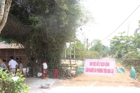 Xuất hiện ổ dịch tả heo châu Phi thứ 3 tại một xã ở Thừa Thiên – Huế ảnh 1 Xuất hiện ổ dịch tả heo châu Phi thứ 3 tại một xã ở Thừa Thiên – Huế ảnh 1