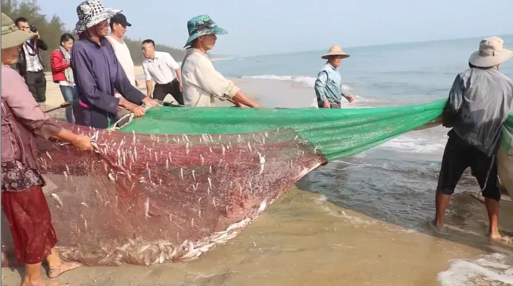 Video: Kéo “lưới rồng” bắt 2 tấn cá  ảnh 1