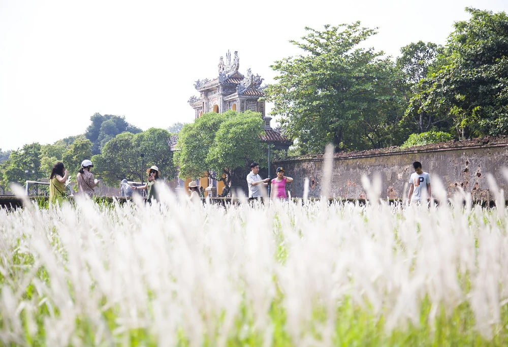 Tung tăng chụp ảnh cùng hoa cỏ tranh