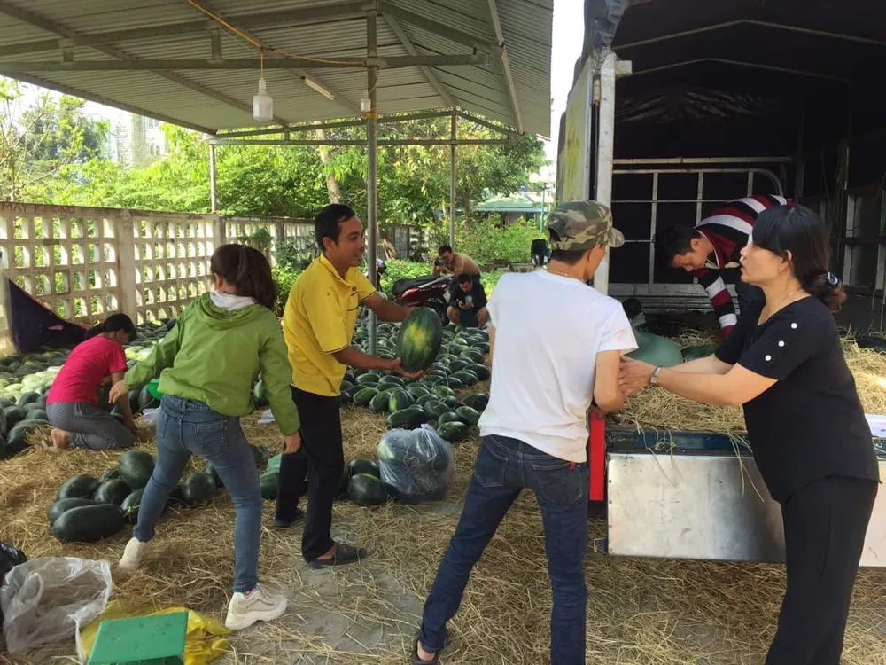 Nhóm thiện nguyện tại Huế “giải cứu” dưa hấu cho nông dân và hỗ trợ bé 8 tháng tuổi ghép gan  ảnh 2