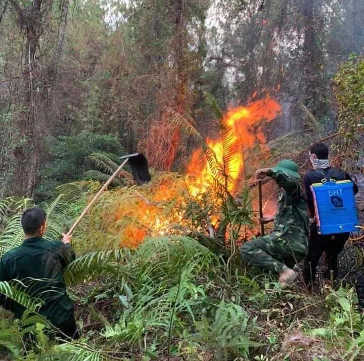 Cháy lớn xuyên đêm trên đỉnh núi Phú Sơn ảnh 4 Cháy lớn xuyên đêm trên đỉnh núi Phú Sơn ảnh 4