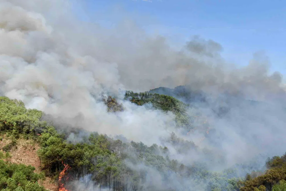 Huy động gần 1.000 người dập lửa rừng thông cháy gần kho K890 Cục Quân Khí ảnh 1 Huy động gần 1.000 người dập lửa rừng thông cháy gần kho K890 Cục Quân Khí ảnh 1