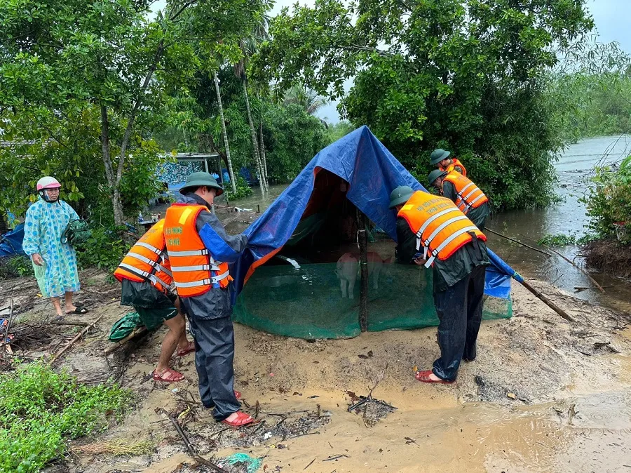 Bộ đội Biên phòng Thừa Thiên Huế giúp người dân di dời vật nuôi lên cao để hạn chế thiệt hại do ngập úng gây ra