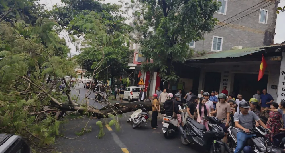 Người tham gia giao thông thót tim khi chứng kiến vụ việc Screenshot_20250817_193332_Zalo.jpg