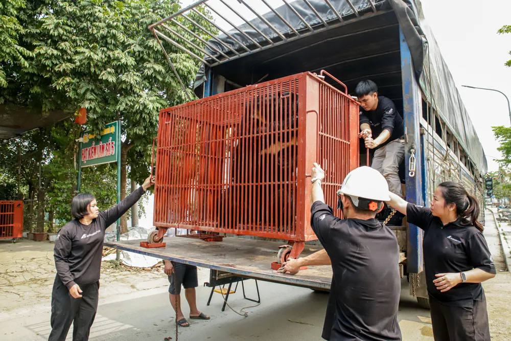 Vận chuyển gấu bằng lồng chuyên dụng về trung tâm cứu hộ ANH 4.jpg