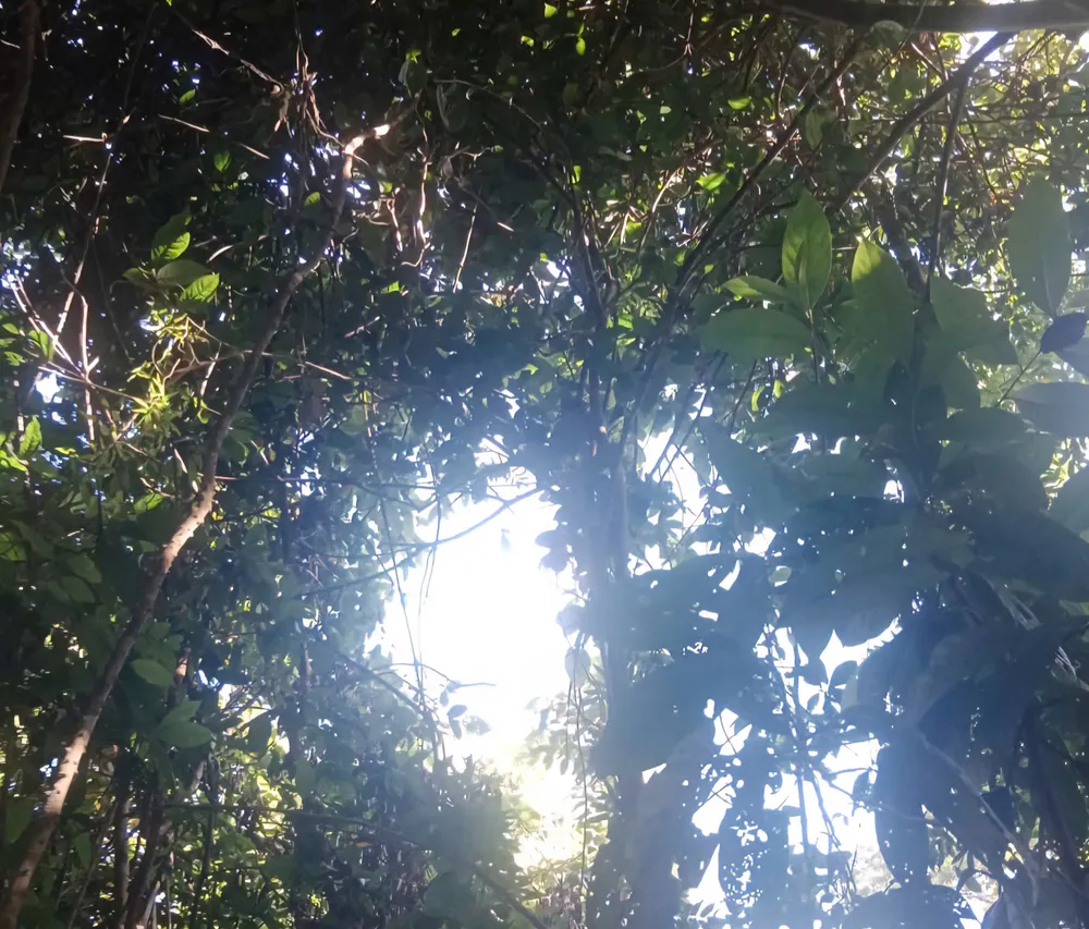 z7037567916679_e6c51c04dd3ffd399e8effbac4322536.jpg