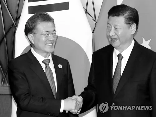 Giá ca cao biến động ở mức 4.500-5.000 đồng/kg ảnh 8