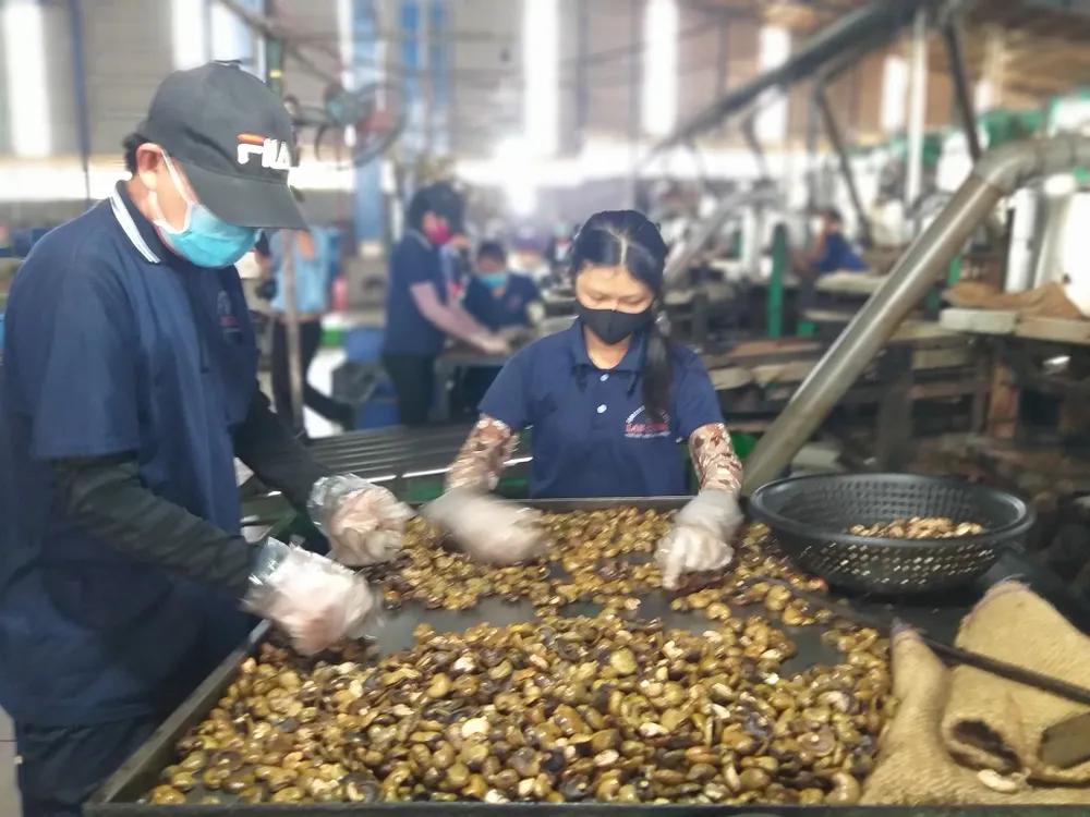 Bình Phước: Phấn đấu đến năm 2025, thu nhập bình quân đầu người đạt trên 100 triệu đồng ảnh 2