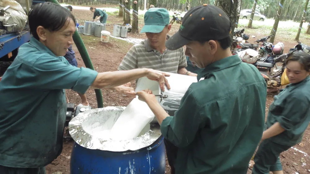 Bình Phước: Phấn đấu đến năm 2025, thu nhập bình quân đầu người đạt trên 100 triệu đồng ảnh 3