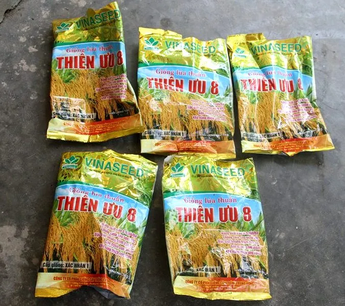 Đề nghị hỗ trợ tìm nguyên nhân khiến 10.636ha lúa bị thiệt hại ảnh 2