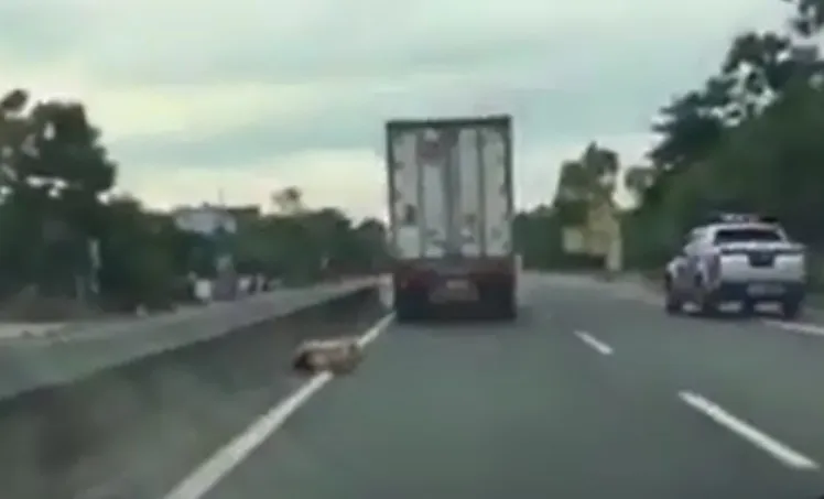 Một thượng úy công an rơi từ đầu xe container xuống đường bị thương nặng ảnh 3