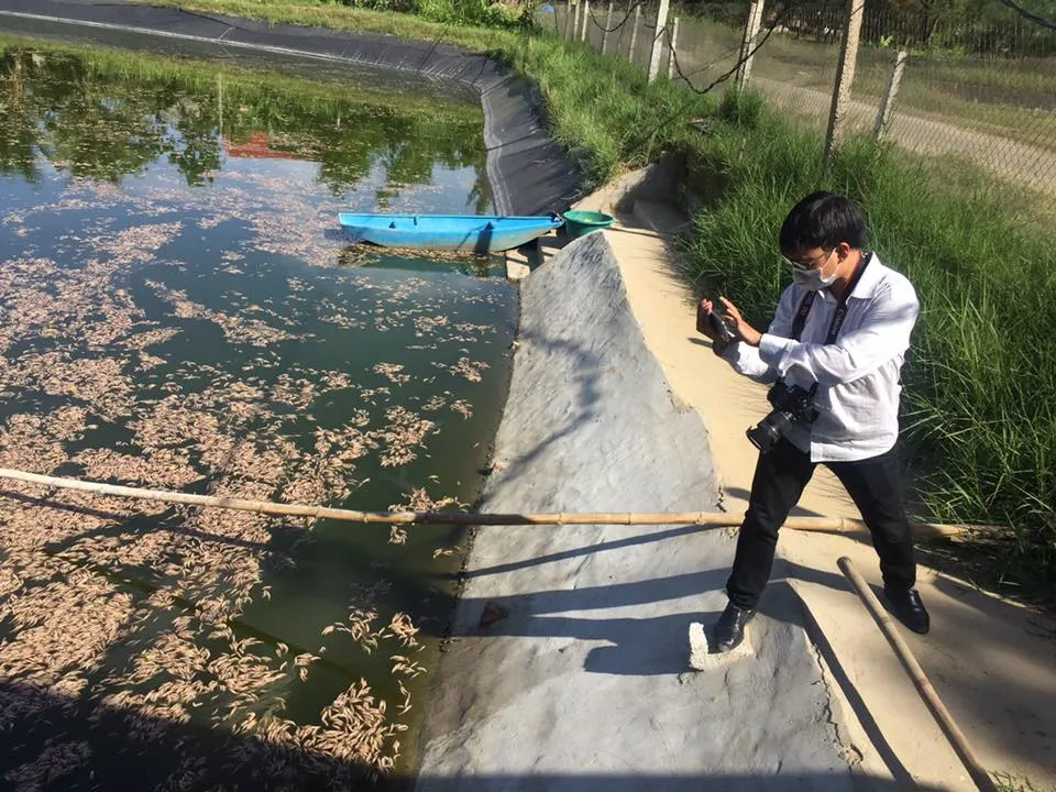 Tôm chết hàng loạt chưa rõ nguyên nhân tại Hà Tĩnh ảnh 5