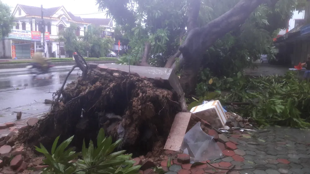 Hà Tĩnh, Nghệ An ngổn ngang sau bão ảnh 23