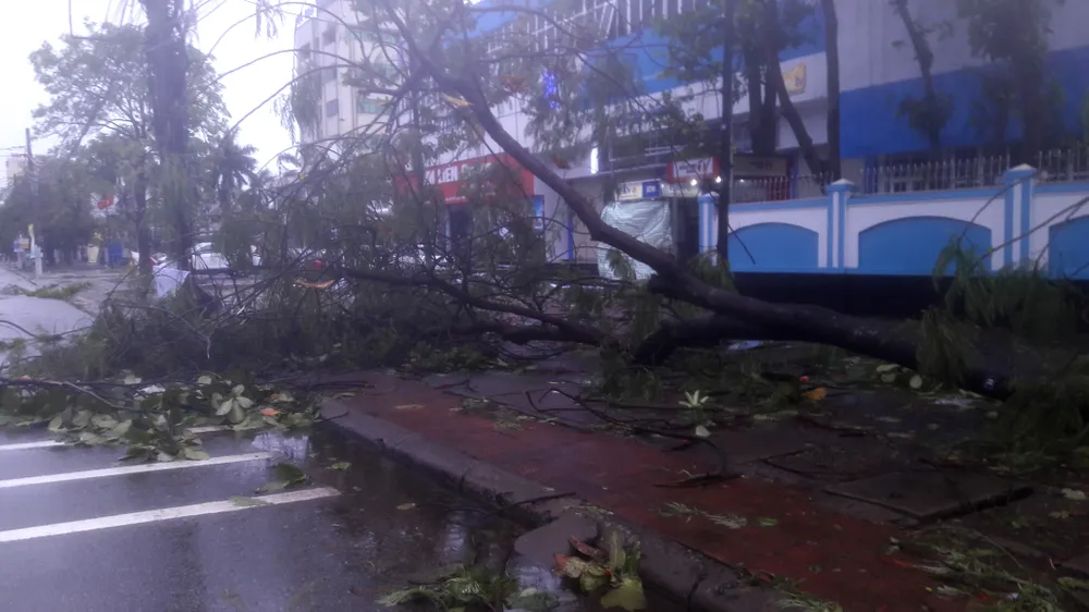 Hà Tĩnh, Nghệ An ngổn ngang sau bão ảnh 12