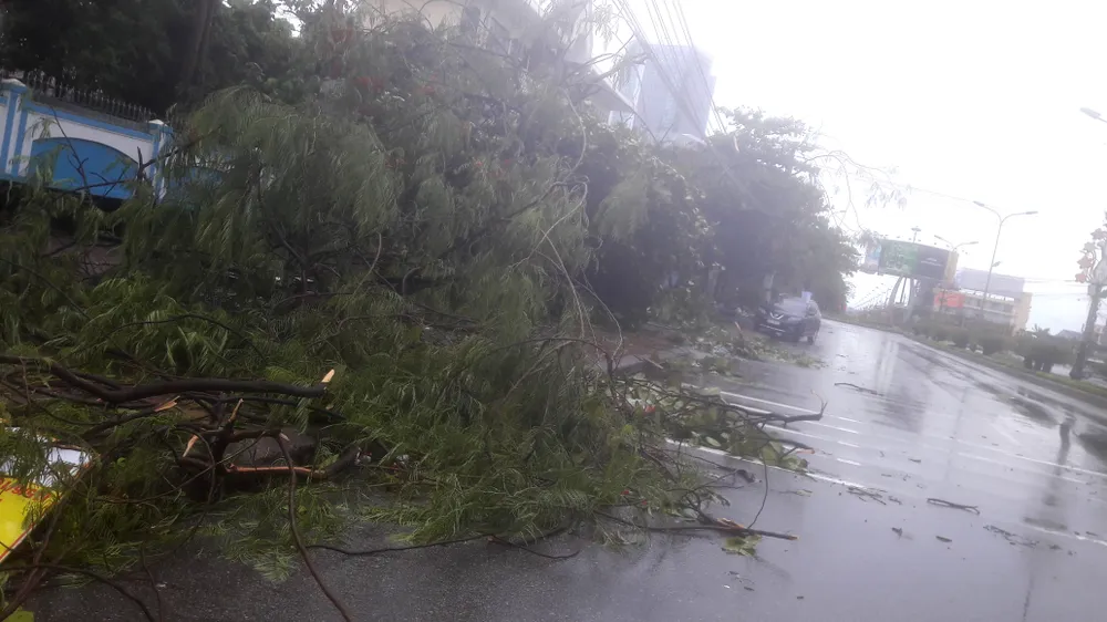 Hà Tĩnh, Nghệ An ngổn ngang sau bão ảnh 15