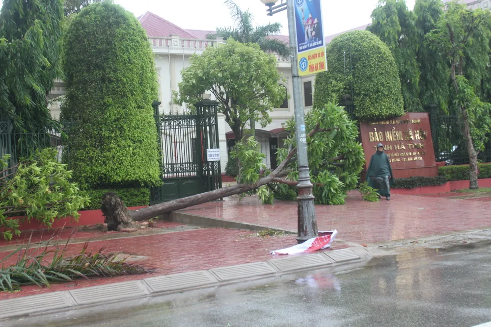 Hà Tĩnh, Nghệ An ngổn ngang sau bão ảnh 9