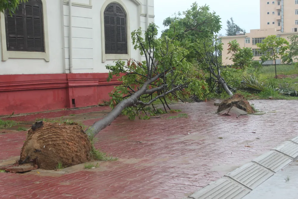 Hà Tĩnh, Nghệ An ngổn ngang sau bão ảnh 8